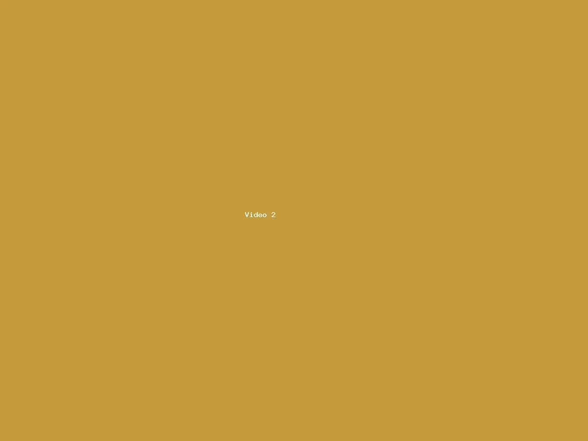 Placeholder video 2